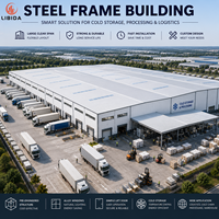 Edificio Prefabricado de Estructura de Acero, Almacén Refrigerado Aislado y Fábrica de Procesamiento Industrial, Taller de Metal Galvanizado