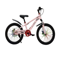 Vélos pour enfants en gros de 18/20/22 pouces avec cadres en acier robustes ; hauteur réglable, adaptés aux enfants de 6 à 16 ans. Frein à disque.