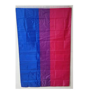 格安在庫 100% ポリエステル 3×5フィート LGBTQ ゲイ バイセクシュアル プライドフラッグ 2つのグロメット付き 環境に優しいアクリル製旗竿 - Product Image 1