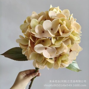 Hydrangea artificielle Meiduo Flower Industry, jaune-vert, pour décoration d'hôtel, arrangements floraux de mariage, aspect réaliste 3D. - Product Image 1