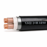 Câble d'alimentation blindé en cuivre XLPE YJV22 2*95mm² 2*120mm² 0,6/1kV avec gaine en PVC blindée à bande d'acier pour connexion de transformateur