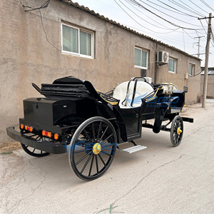 Voiture de tourisme électrique noire de transport spécialisée, style calèche européenne, luxueuse, pour 4 à 6 personnes - Product Image 1
