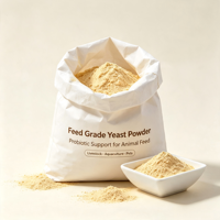 Poudre de levure active à haute activité, additif probiotique naturel pour le soin intestinal du bétail, des animaux aquatiques et des animaux de compagnie