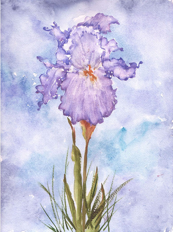 003
