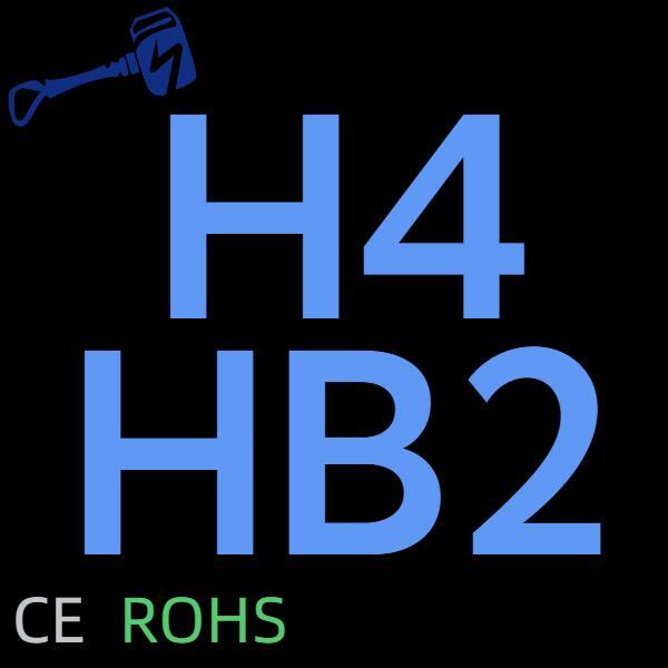 H4/H19