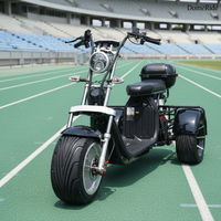 Vente en gros de tricycles électriques pour adultes DomeRide, batterie au lithium 60V, moteur sans balais 2000W, 300 kg, pliable, étanche, commande numérique