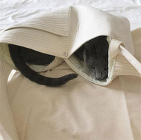 Sac de transport pour animaux de compagnie, respirant, produits de voyage, sac pour chat, panier de transport pour filles et femmes, sac à bandoulière pour animaux de compagnie, sac pour chien