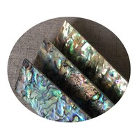 Plaque de coquille d'ormeau de Nouvelle-Zélande DIY 14cmX4cm, épaisseur, accessoires pour instruments de musique, artisanat à domicile, perles de coquille, os, corail