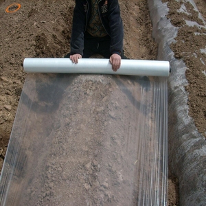 <span class=keywords><strong>Film</strong></span> de paillage en plastique noir perforé pour la plantation de fraises - Product Image 5