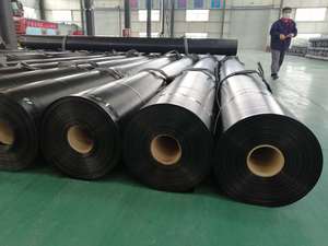 Telo Impermeabile in HDPE/LDPE Nero Africano per Laghetti <span class=keywords><strong>e</strong></span> Dighe, Geomembrana per Agricoltura, Misure Personalizzate - Product Image 2