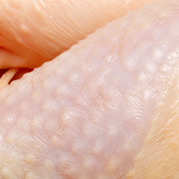 Poulet entier congelé halal de qualité supérieure, abattu à la main, nettoyé et désossé, pour la vente au détail et la vente en gros