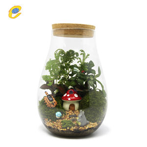 Vendita calda copertura della cupola di vetro per fiore piante succulente paesaggio vaso terrario contenitore vaso con sughero - Product Image 1