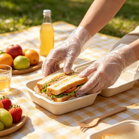 Gants jetables imperméables en CPE/PE de qualité alimentaire, épaisseur moyenne, pour barbecue, grillades, manipulation des aliments et charcuterie