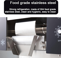 Machine à Glace Neige Commerciale 80 KG/24H pour Bingsu, Flocons et Crèmes Glacées