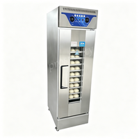 Armoire de Fermentation Professionnelle en Acier Inoxydable pour Pâte à Pain, 13 Plateaux, pour Boulangerie