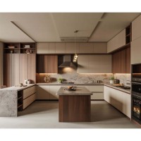 CBMmart Ensemble de cuisine modulaire classique, design pratique, vente en gros, produits d'armoires, Chine