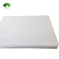 Panneaux rigides en PVC imperméables, fabricant de panneaux Forex Celuka, sur mesure, feuilles de 4x8, résistance aux UV et au feu, découpe disponible