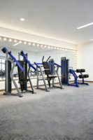 Machine professionnelle de musculation dorsale à double pile de poids Xinrui pour entraînement du dos en salle de sport