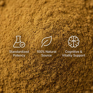 Extrait naturel d'Alpinia Oxyphylla à haute teneur en saponines Yizhirenone, poudre alimentaire chauffante pour la rate et nourrissante pour les reins, 1 kg - Product Image 6