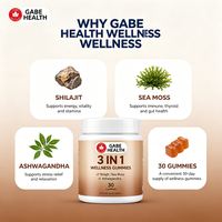 Gummies bien-être 3-en-1 OEM Marque Privée Shilajit, Mousse de Mer, Ashwagandha – 30 unités pour Énergie, Immunité, Stress – Personnalisable pour Adultes