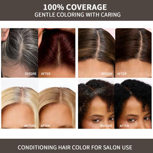<span class=keywords><strong>Tinte</strong></span> Capilar Herbal Natural Color Platino con Ginseng, Aloe, Reishi, Manzanilla y Fo-Ti, Brillo Duradero, Suave para el Cuero Cabelludo, Set de Fábrica OEM - Product Image 3