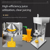 Presse à jus électrique verticale stable pour concombres et radis, idéale pour les chaînes de restauration rapide et l'usage quotidien