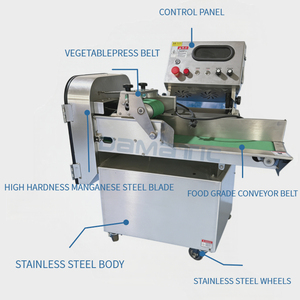 Machine de découpe et de tranchage de légumes 600-1000 KG/H pour piments, chou frisé, gombo, laitue, épinards, céleri, oignon vert, poireau - Product Image 3