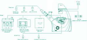 INNOVA実験室用LED光源付き実験室用顕微鏡双眼ステレオデザイン - Product Image 4