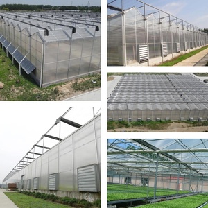 โรงเรือนเพาะปลูกแบบแผ่นพลาสติกชีวภาพขนาดใหญ่ โครงสร้างเหล็ก ควบคุมสภาพอากาศได้ เหมาะสำหรับการปลูก<span class=keywords><strong>มะเขือเทศ</strong></span>แบบไฮโดรโปนิกส์ - Product Image 3