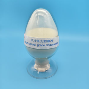 Bubuk Chitosan langsung pabrik tipe KN untuk pertanian - Product Image 6