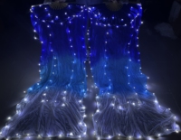 Éventails longs en soie et bambou pour femmes, voiles de danse du ventre, éventails de louange en soie, éventails lumineux à LED pour spectacle