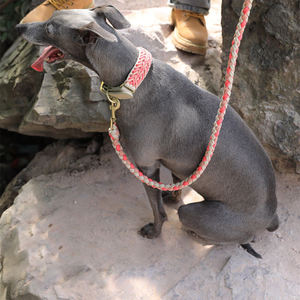 Luxuriöses Geflochtenes Hundehalsband aus Seil, Verstellbares Paracord-Halsband, Gestricktes Leder-Nylon-Hundehalsband - Product Image 3