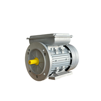 Moteur électrique asynchrone monophasé à double condensateur série YL 1400 tr/min |   Moteur à induction à phase divisée AC 220V à couple élevé CSCR