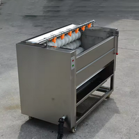Borstelrol aardappel schilmachine voor wintermeloen zoete aardappel wortel roestvrij staal commerciële groenteschilmachine