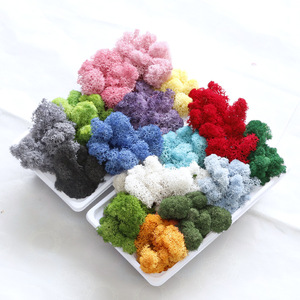 AYOYO Last 5 Years Wall Design <strong>Moss</strong> Wall Real Natural Stabilized <strong>Moss</strong> Preserved <strong>Bun</strong> Pole <strong>Moss</strong> - Product Image 2