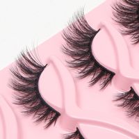 Cils faux obliques effet œil de chat, style européen et américain, 5 paires, naturels, monobloc, tige noire