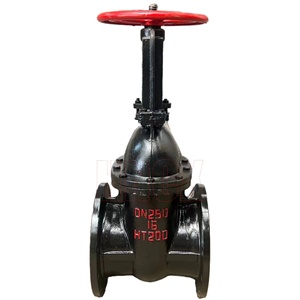 DN250 <span class=keywords><strong>HT200</strong></span> Đồng gốc đúc sắt mặt bích Van cổng Z41t PN16 Hướng dẫn sử dụng gang Van cổng mở STEM nêm Van cổng - Product Image 1