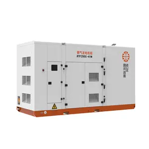 Générateur de gaz naturel ou groupe électrogène à gaz personnalisé, silencieux ou insonorisé, 250kw, 250kva, provenant d'une entreprise chinoise