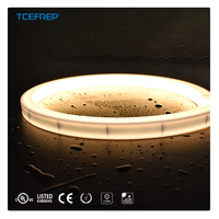 PERFECT Full PU Encapsulation Low Voltage Waterproof IP68 Landscape Silicone Flexible LED Neon Light 5-Year Warranty Dimmable