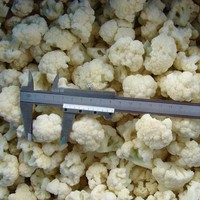 Califlores surgelés certifiés HACCP BRC, qualité supérieure, IQF, pour les marchés américain et européen, export en vrac