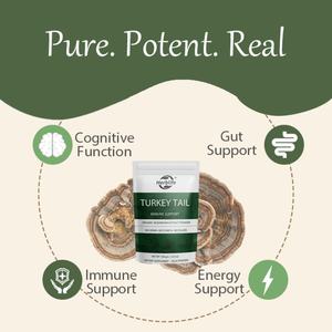 Polvo de Hongo Cola de Pavo OEM/ODM para el Bienestar, la Armonía Intestinal y el Apoyo Energético, Extracto Orgánico de Cola de Pavo, Suplemento de Hongos - Product Image 3