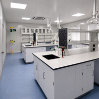 Table de laboratoire centrale en acier, banc îlot en acier avec étagère de rangement et robinet d'eau pour laboratoire microbiologique - Vente chaude