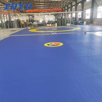 Maßgefertigter Gymnastik- & Kampfsport-PVC-Bodenteppich Flexibler Ausrollbarer Teppich für Ringen Bjj Cheerleading