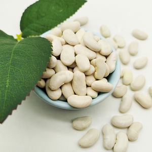 Vente chaude nouveauté gros <span class=keywords><strong>haricots</strong></span> <span class=keywords><strong>blancs</strong></span> produit agricole <span class=keywords><strong>de</strong></span> haute qualité-vente en gros <span class=keywords><strong>de</strong></span> <span class=keywords><strong>haricots</strong></span> - Product Image 2