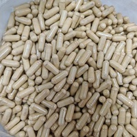 Capsules d'extrait de griffe de chat chinoise purement naturelles OEM ODM, vente chaude, personnalisées, de haute qualité