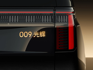 Serie Gloriosa 009 - Product Image 4