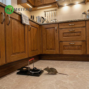 Pièges à <span class=keywords><strong>souris</strong></span> écologiques et étanches à <span class=keywords><strong>action</strong></span> physique de Shandong pour la lutte contre les rats - Product Image 2