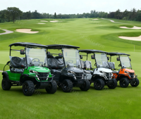 Beemotor Nouveau Design Luxe Chariot de Golf Électrique 72V Lithium 4 Places, Moteur Électrique Voiturette de Club Luxe Buggy Tout-Terrain