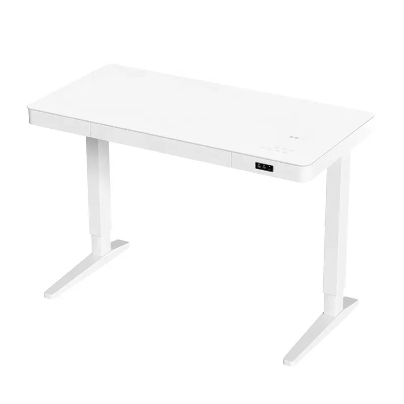 Hot Selling Elektrische Kantoor Smart Meubels Dubbele Motor Verstelbare Bureau Sit Stand Bureau Voor Thuis En Kantoor