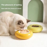 Bol en céramique en forme de donut pour animaux de compagnie, pour chats et friandises, boîte à repas colorée